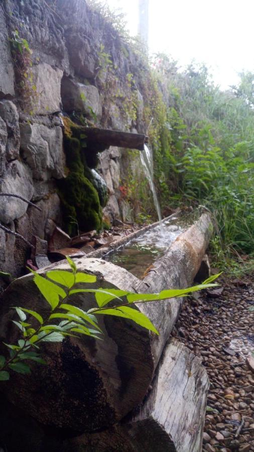 Hotel Rio Escabas, Serrania De Cuenca Cañamares Εξωτερικό φωτογραφία