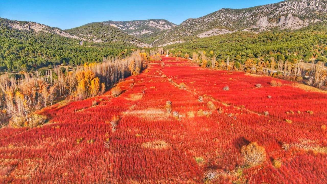 Hotel Rio Escabas, Serrania De Cuenca Cañamares Εξωτερικό φωτογραφία