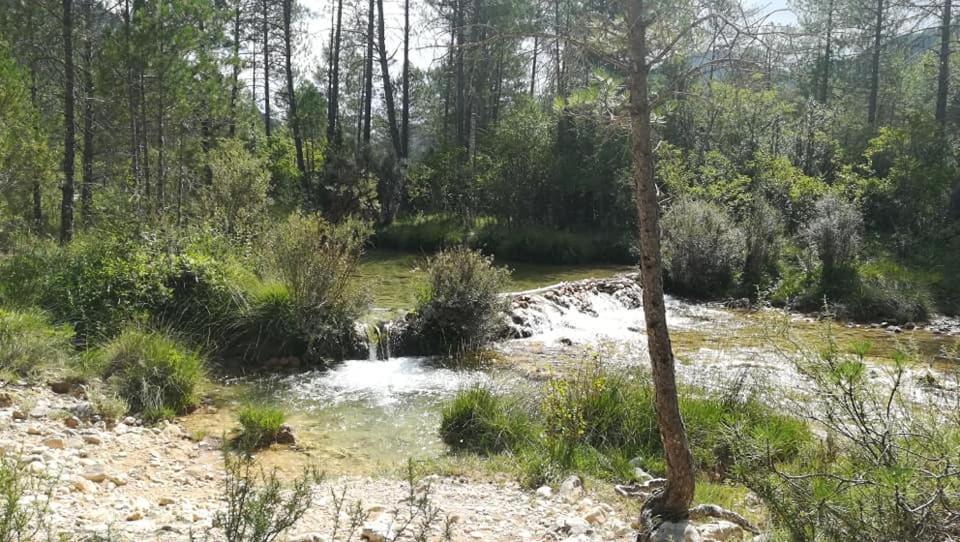 Hotel Rio Escabas, Serrania De Cuenca Cañamares Εξωτερικό φωτογραφία