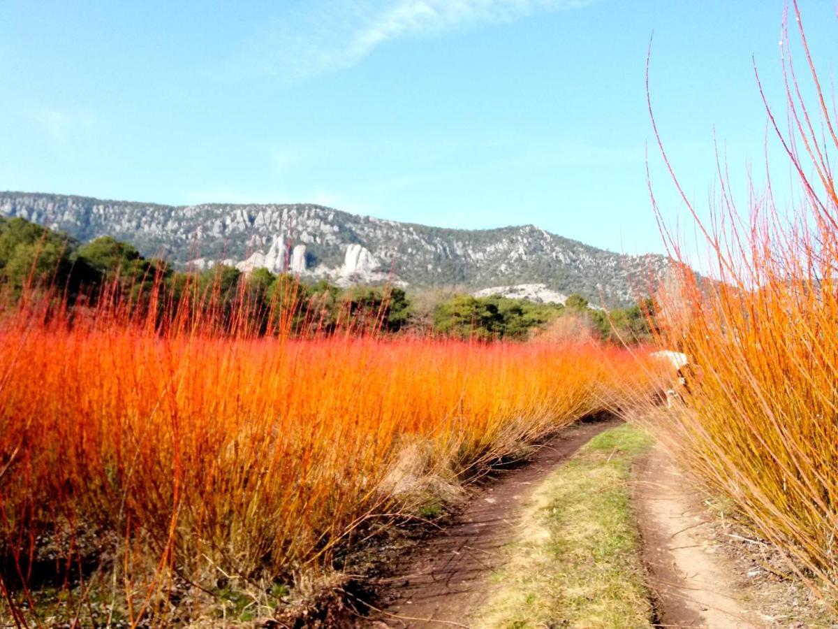 Hotel Rio Escabas, Serrania De Cuenca Cañamares Εξωτερικό φωτογραφία