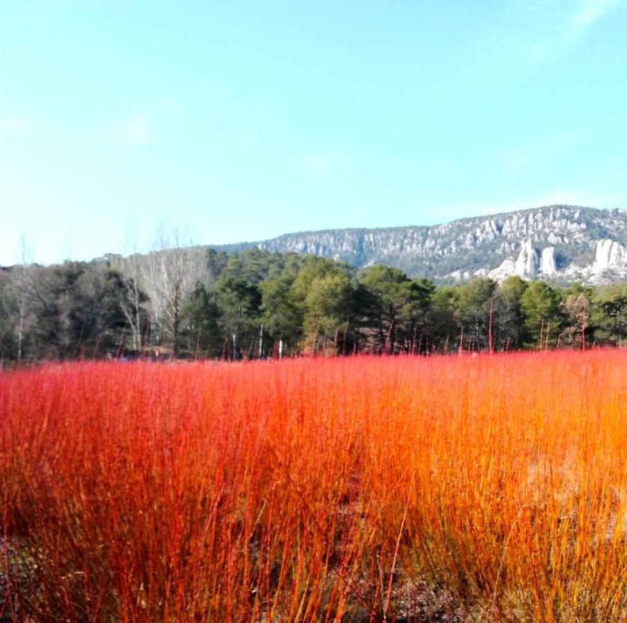 Hotel Rio Escabas, Serrania De Cuenca Cañamares Εξωτερικό φωτογραφία